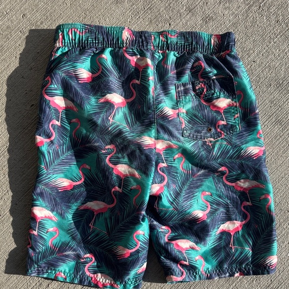 Abercrombie & Fitch Tropical Flamingo Swim Shorts - Blue and Pink - Size 11/12 - Picture 5 of 5